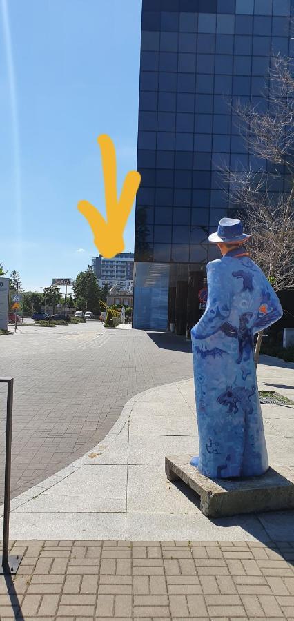 Apple Apartments - Mickiewicza Prywatne Miejsce Parkingowe Łódź Dış mekan fotoğraf